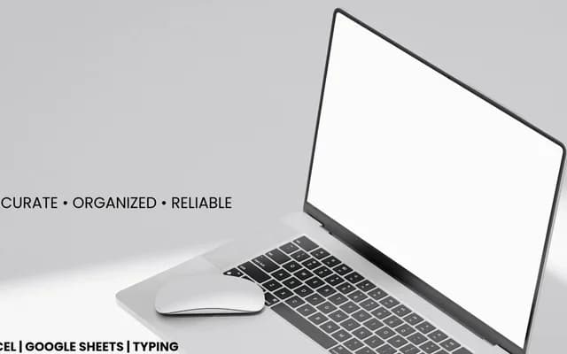 I will do accurate data entry, Excel, typing and web research